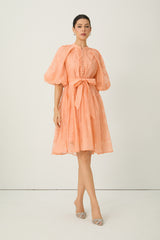 Devoted to Fun Orange Embroidered Short Puff Sleeve Midi Dress