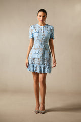 Renata Floral Embroidered Lace Mini Dress