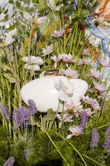 Oval Shaped Acrylic Clutch