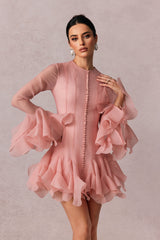 Leila Semi-sheer Flare Mini Dress