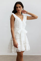 Helena V-neck Lace Embroidery Mini Dress