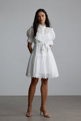 Annette Lace Trim Puff Sleeve Mini Dress
