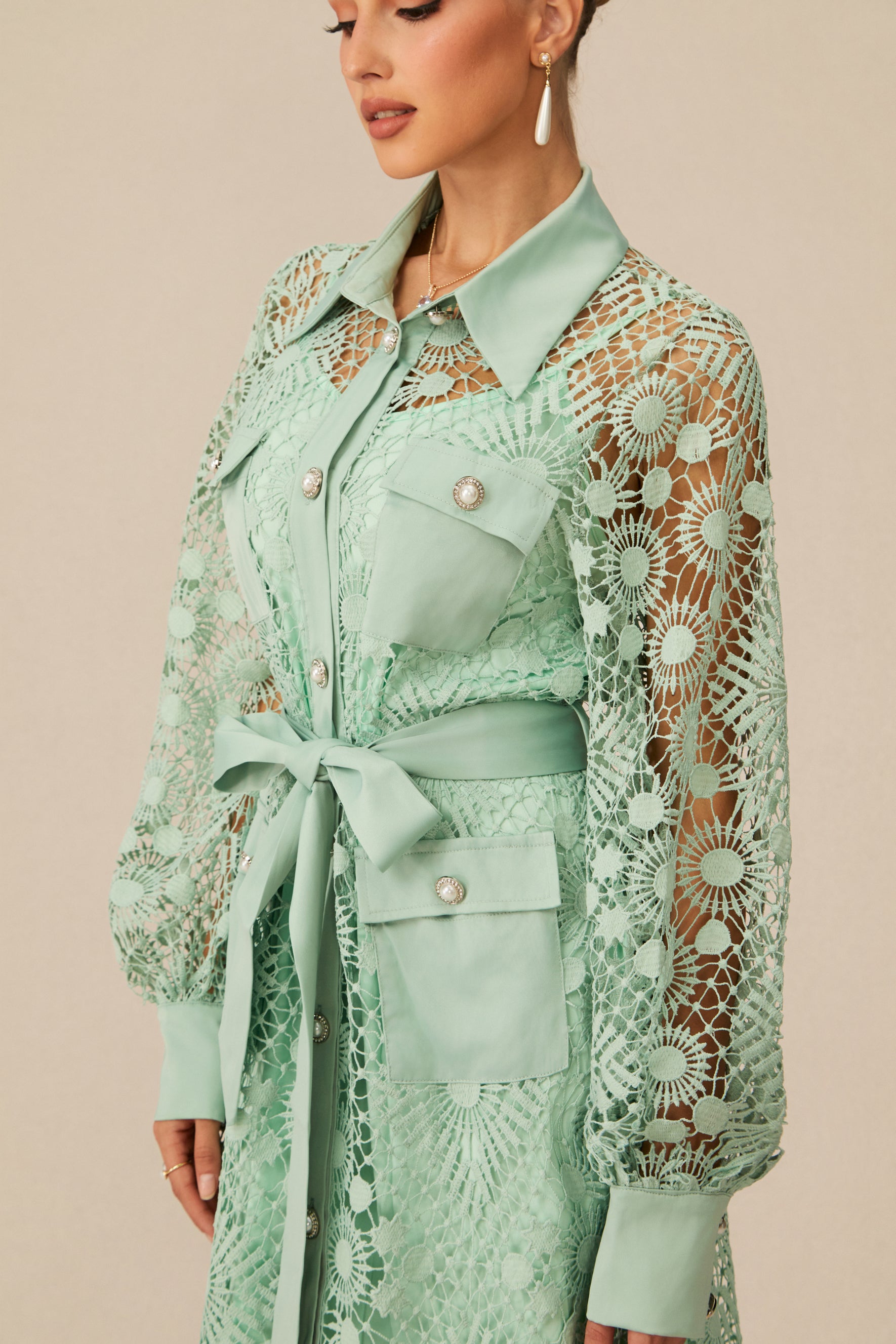 Rosa Sheer Lace Long Sleeve Maxi Dress