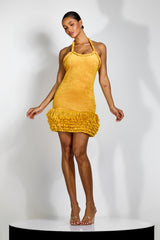 Vera Halter Tassel Mini Knit Dress