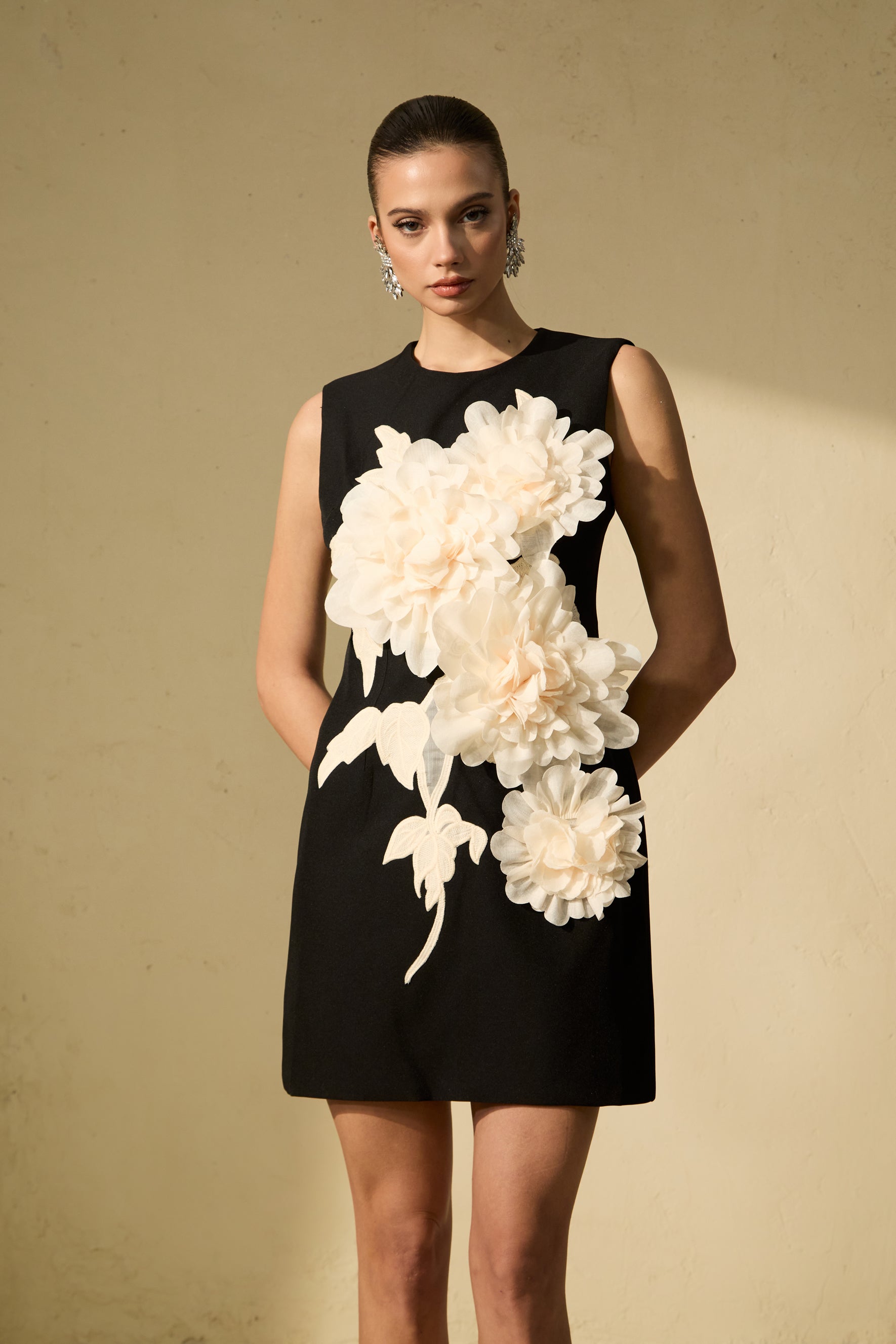 Dreamy Presence Black Floral Applique Sleeveless Mini Dress