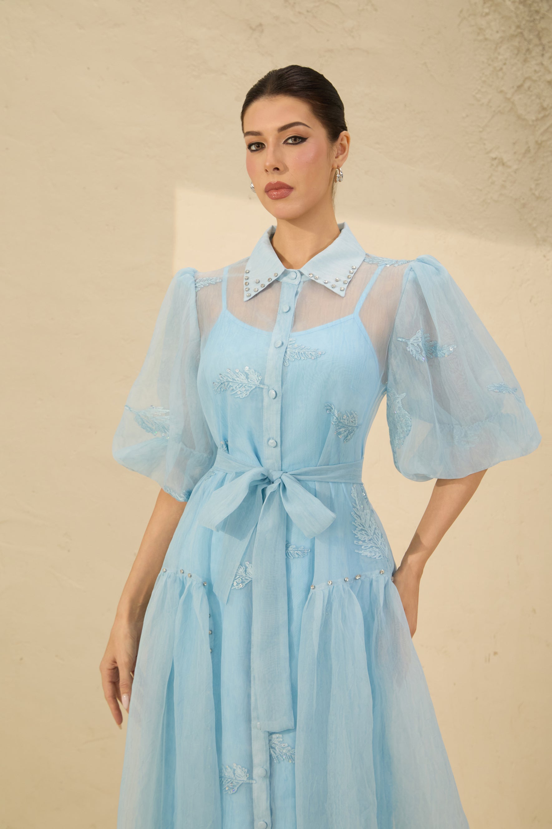 Dreamy Personality Blue Puff Sleeve Embroidered Maxi Dress