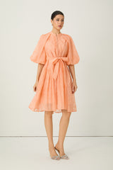Devoted to Fun Orange Embroidered Short Puff Sleeve Midi Dress