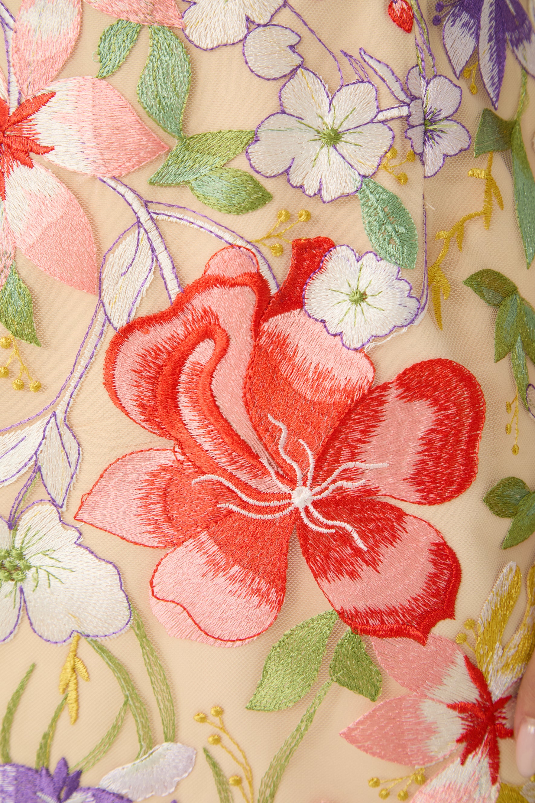 Passion And Petals Multi Floral Applique Off Shoulder Mini Dress