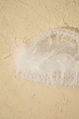 Ostrich Feather Beaded Handle Clutch