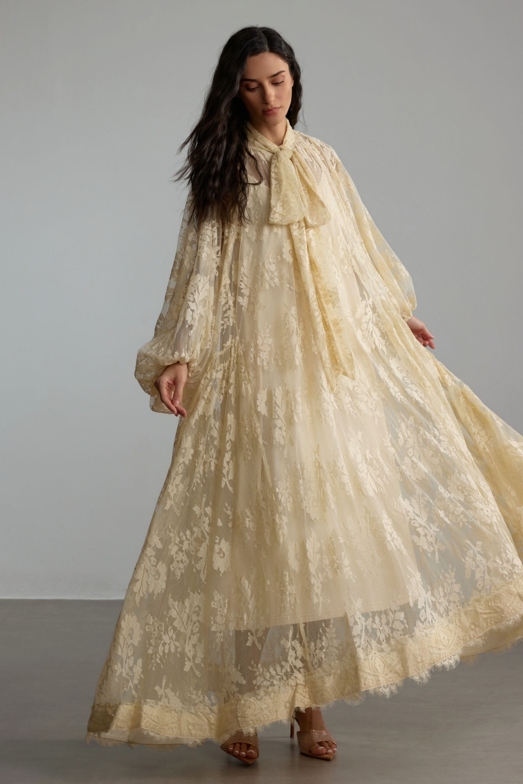 Catharine Floral Lace Sheer Maxi Dress