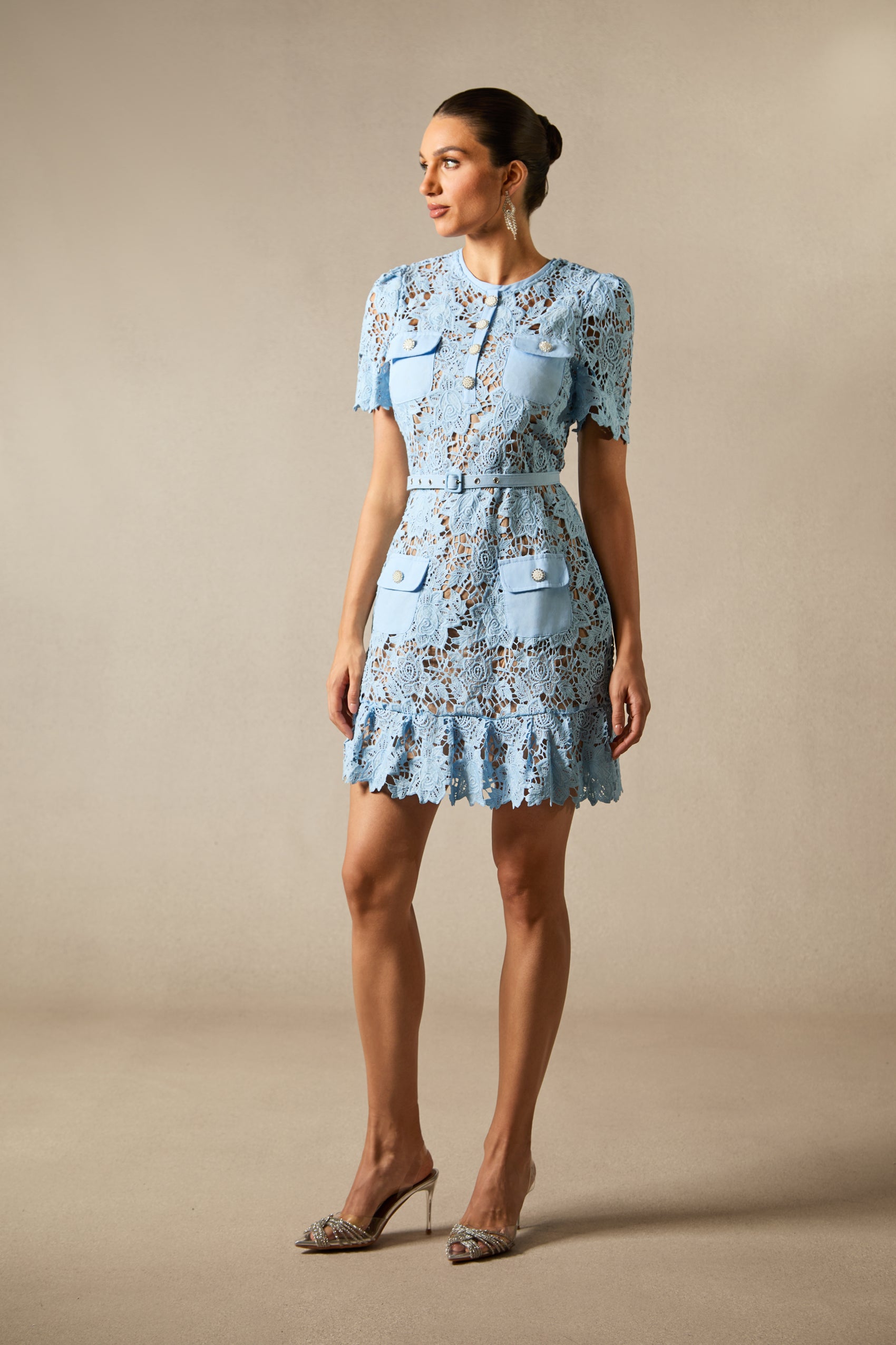 Renata Floral Embroidered Lace Mini Dress