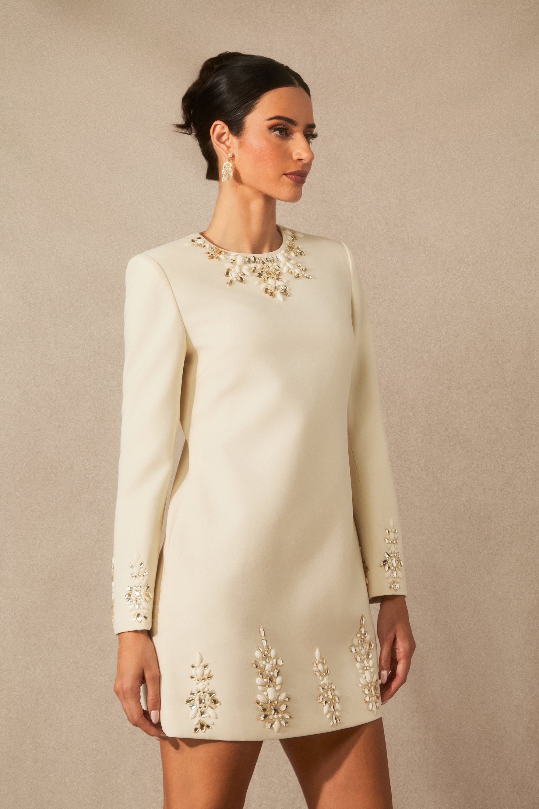 Briana Embellished Neckline Long Sleeve Mini Dress