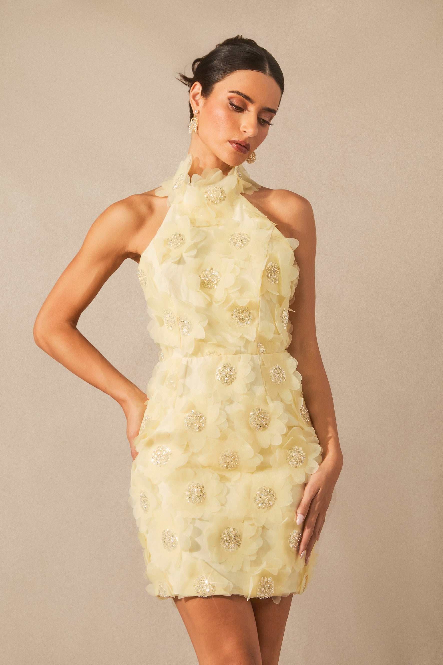 Celeste Halter Neck Floral Embellished Mini Dress