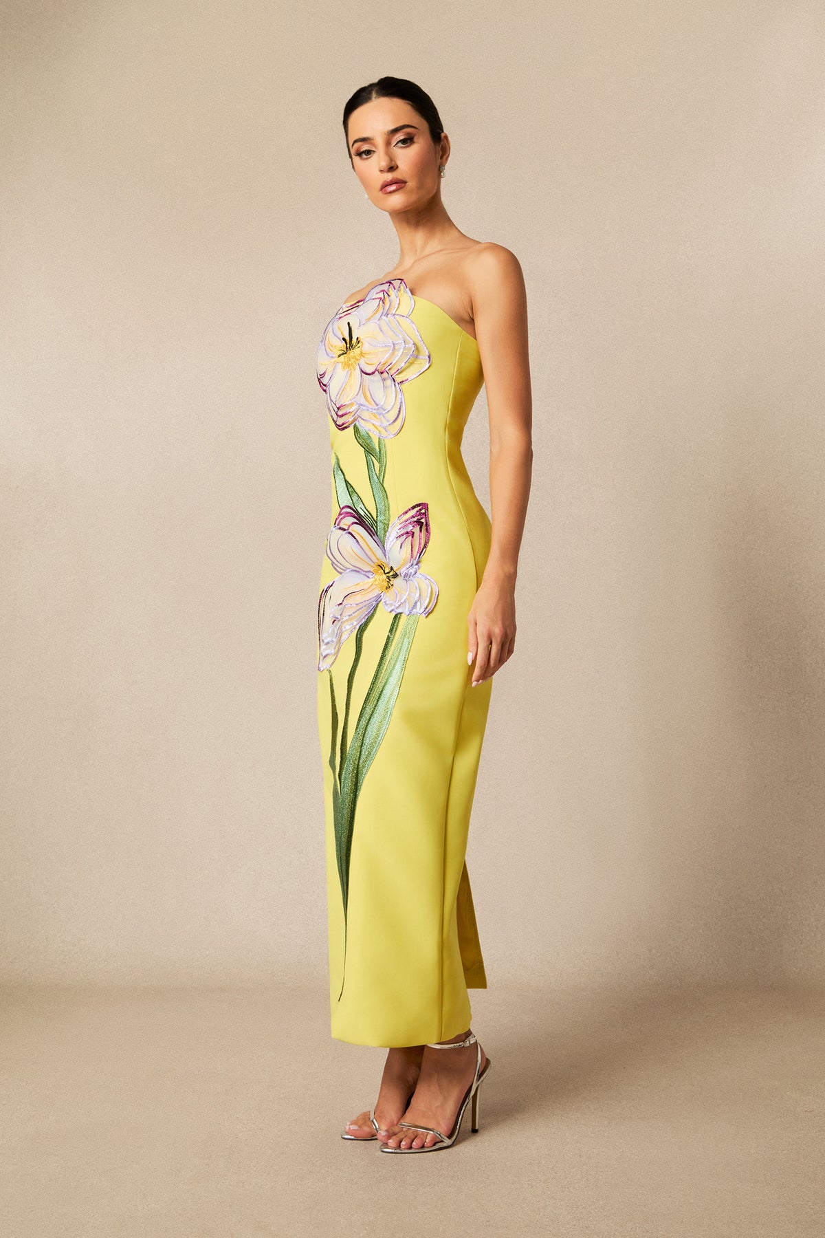 Phoebe Floral Applique Strapless Maxi Dress