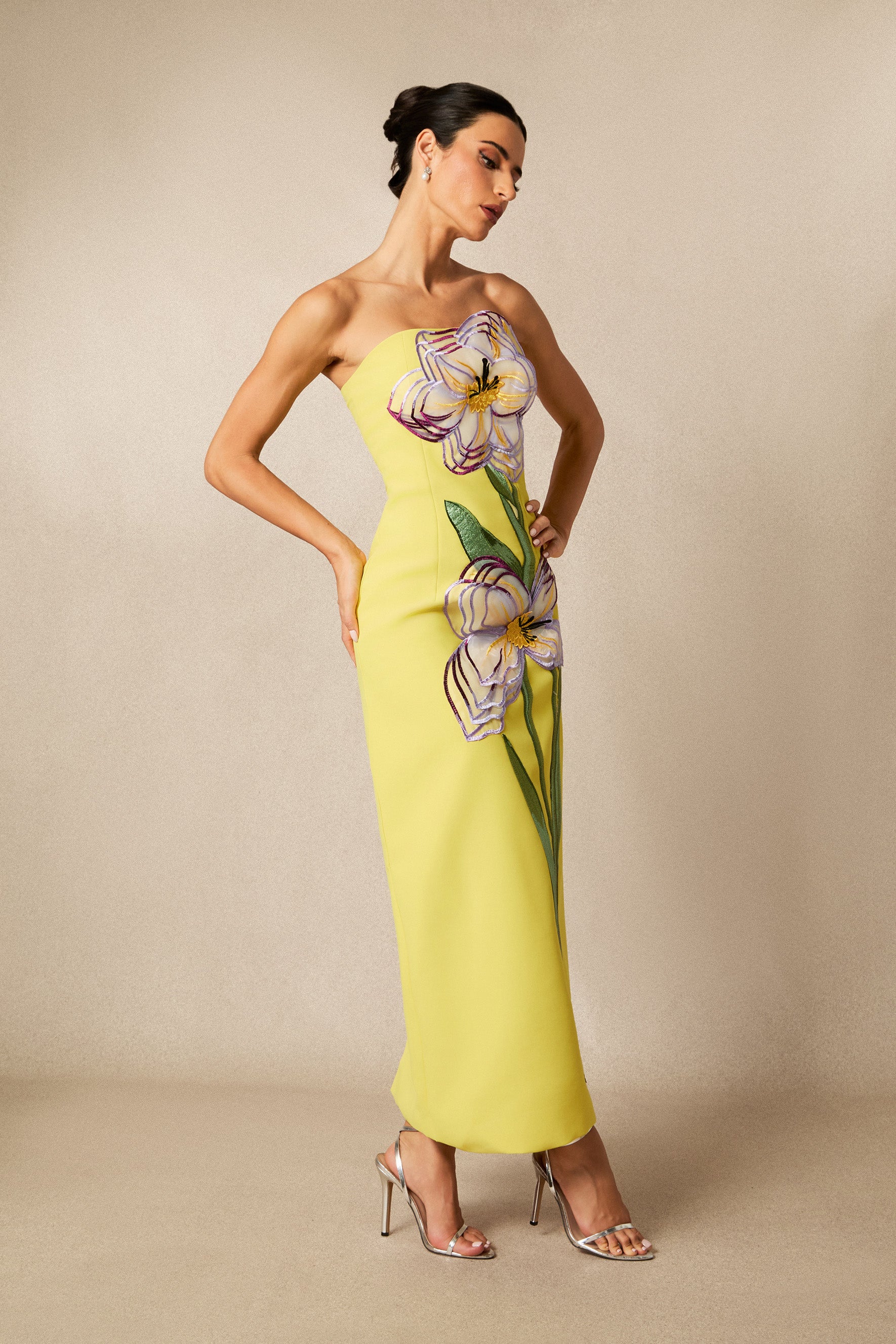 Phoebe Floral Applique Strapless Maxi Dress