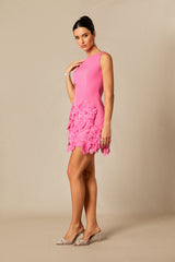 Matilda Sleeveless Floral Applique Mini Dress