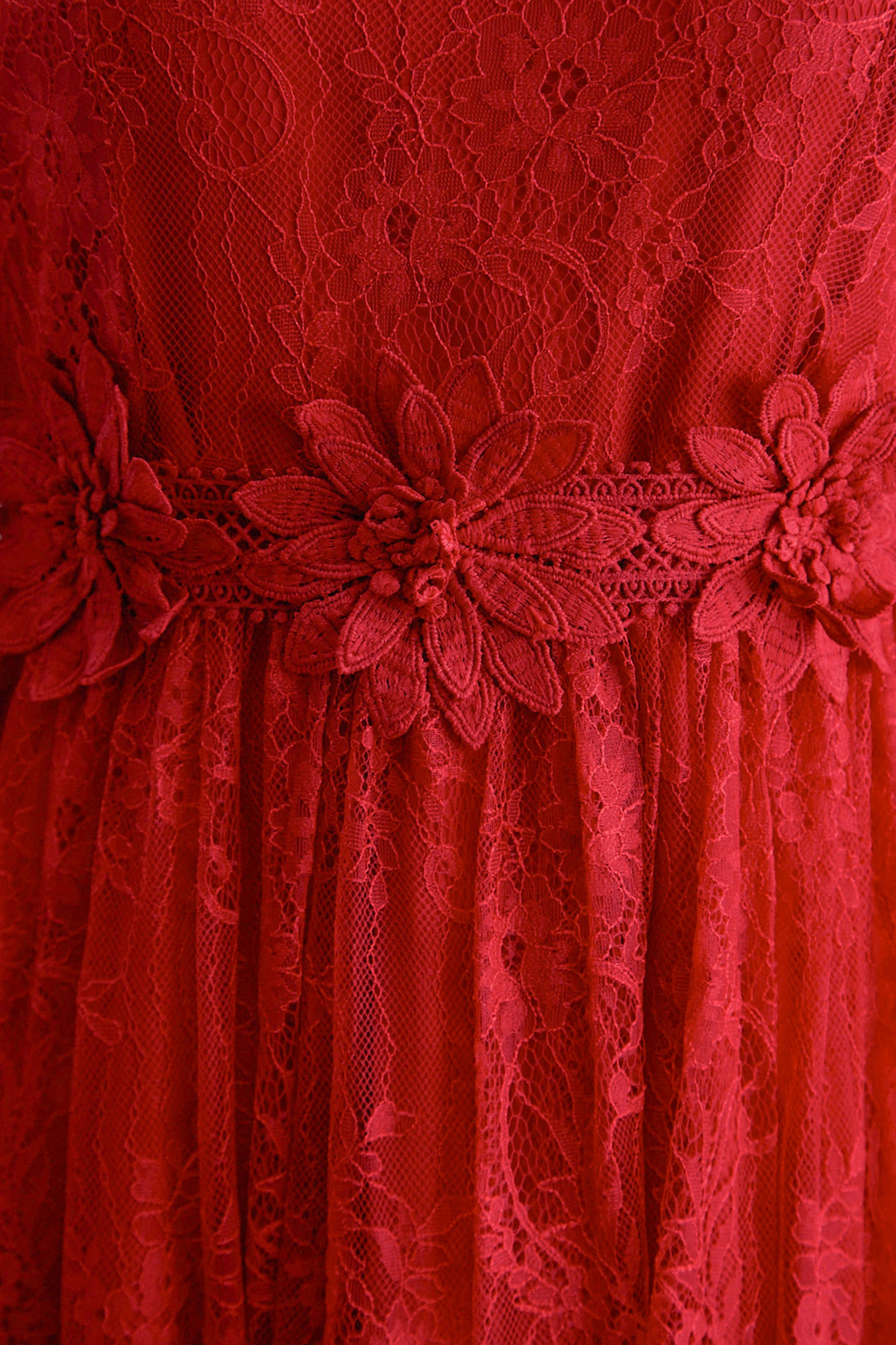 Meet Me Tonight Red Floral Applique Lace Maxi Dress