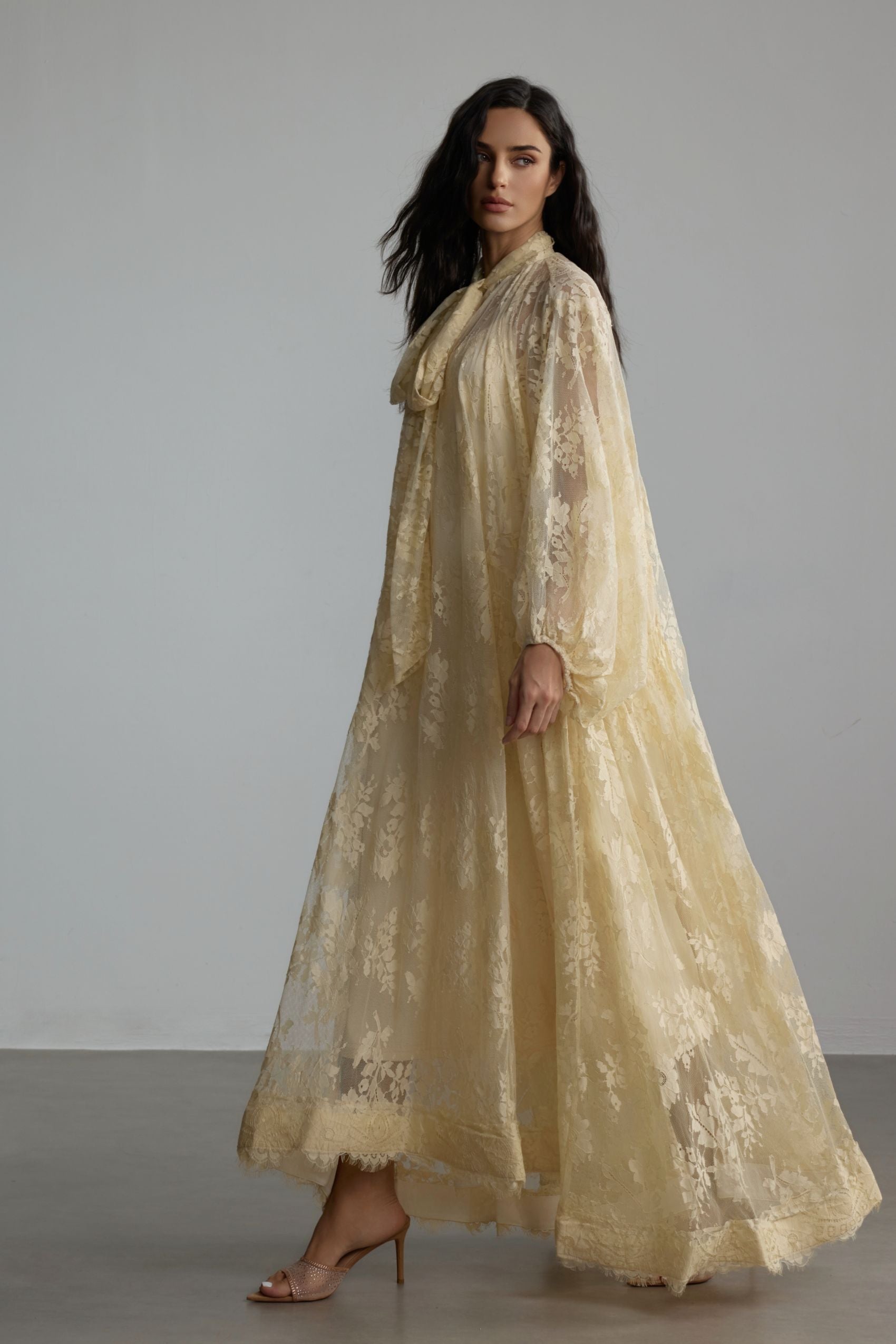 Catharine Floral Lace Sheer Maxi Dress