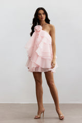 Sara Floral Ruffle Chiffon Mini Dress