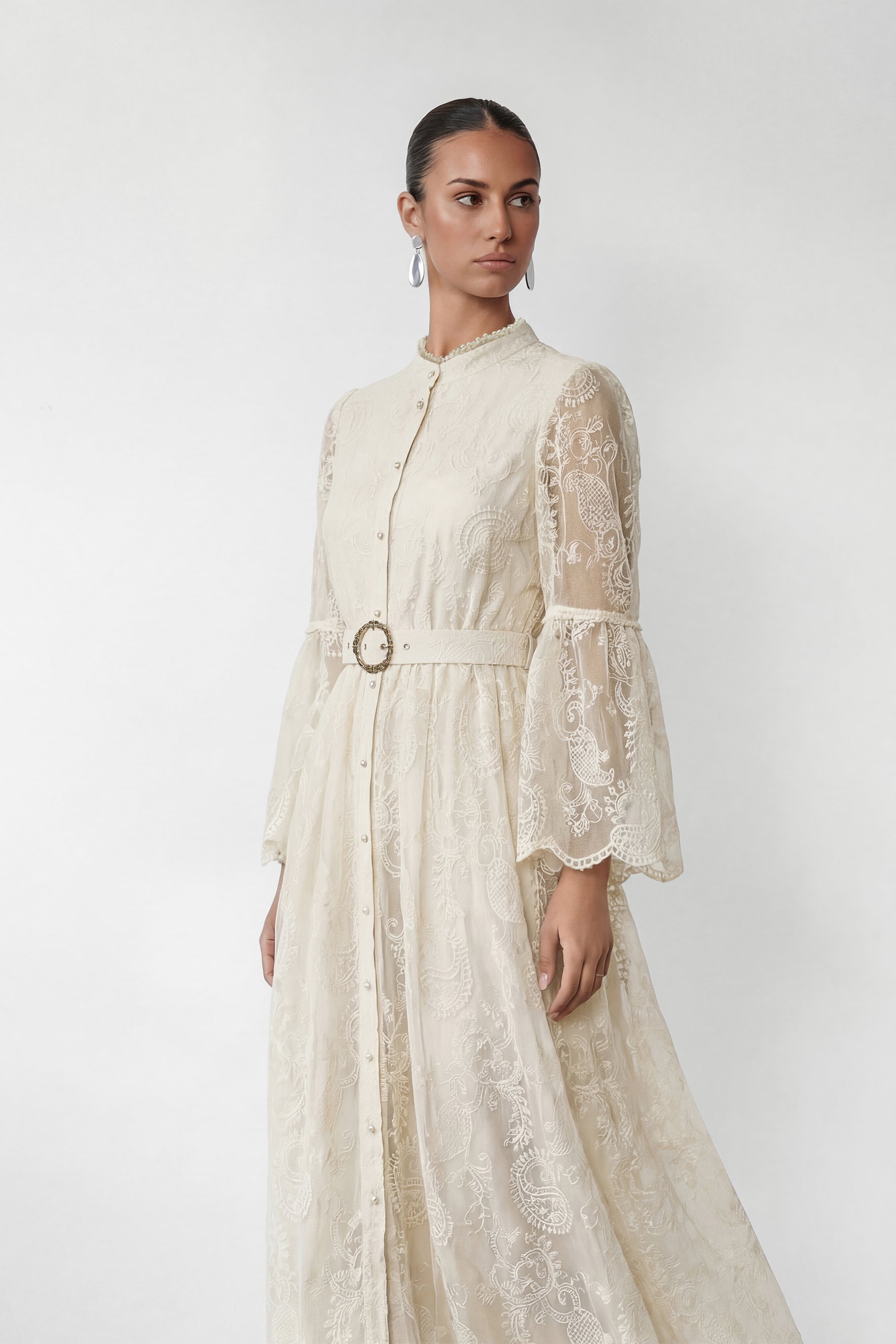 Admirable Elegance Beige Lace Embroidered Sheer Sleeve Maxi Dress